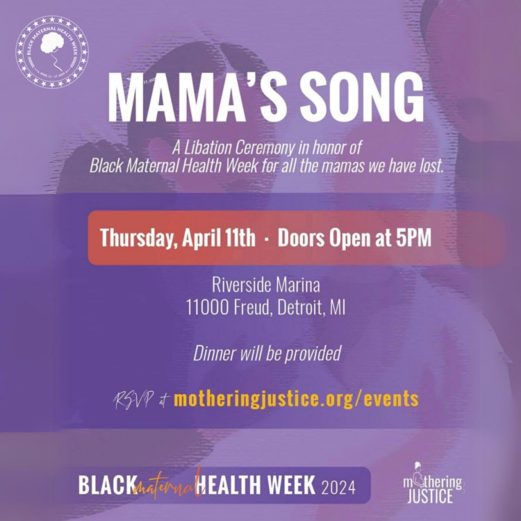 Michigan Bmhw Events Black Mamas Matter Alliance