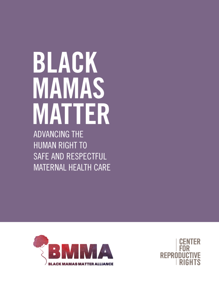 Toolkits - Black Mamas Matter Alliance